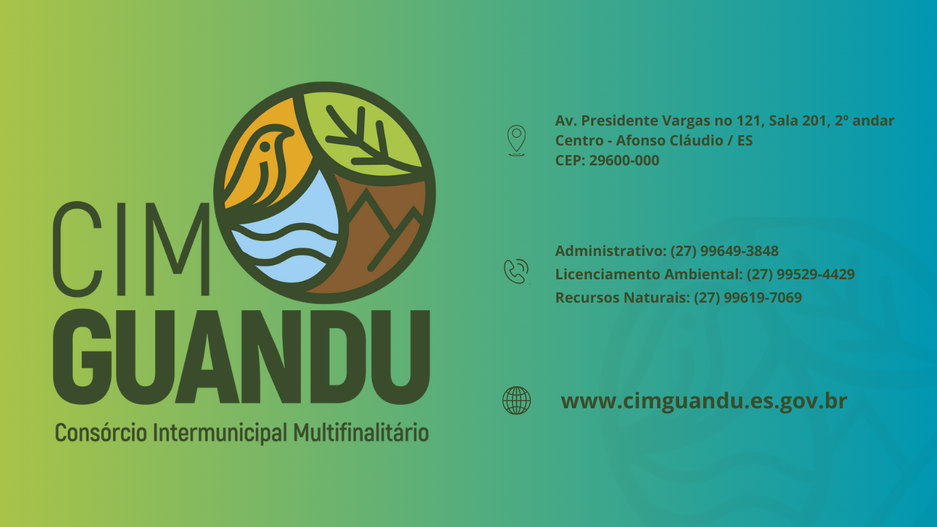 Cim Guandu