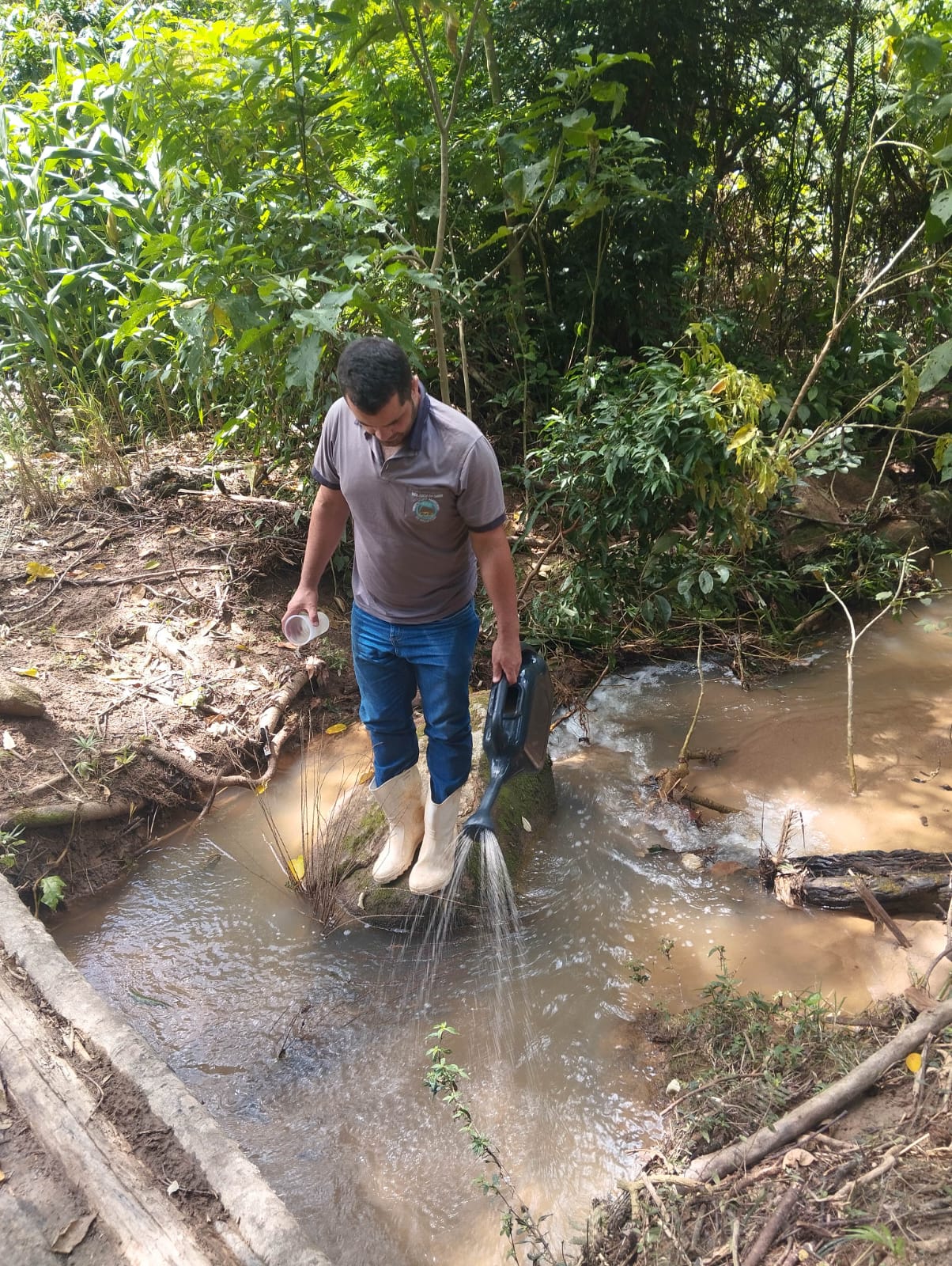 Ação de Combate aos Borrachudos em Brejetuba